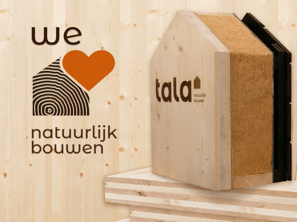 Tala_Faseverschuiving_1000_750